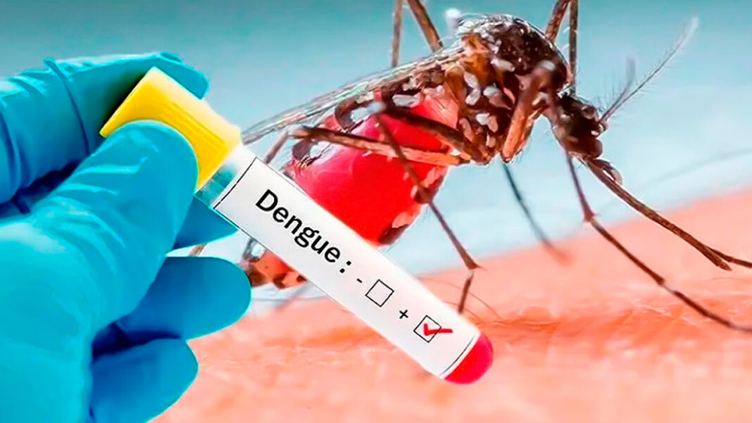 dengue-2
